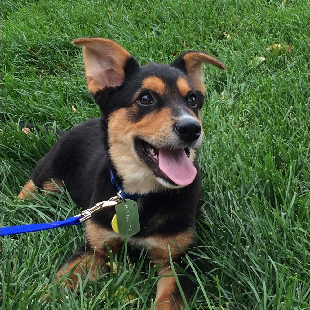 Meet your Posher, Yuriko